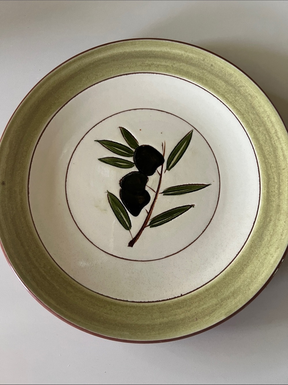 Decorative Olive Motif Dinner Plate in Sage and Cream